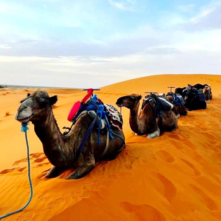 Bedouin Desert Camp Merzouga Exterior foto